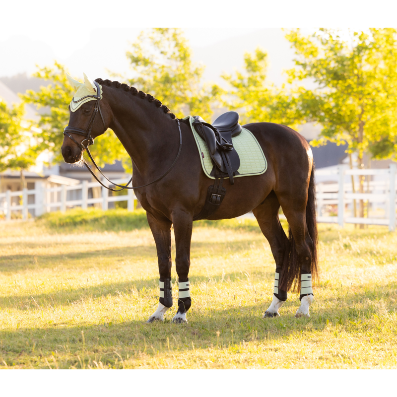 LeMieux Suede Dressage Square - Macaron-3