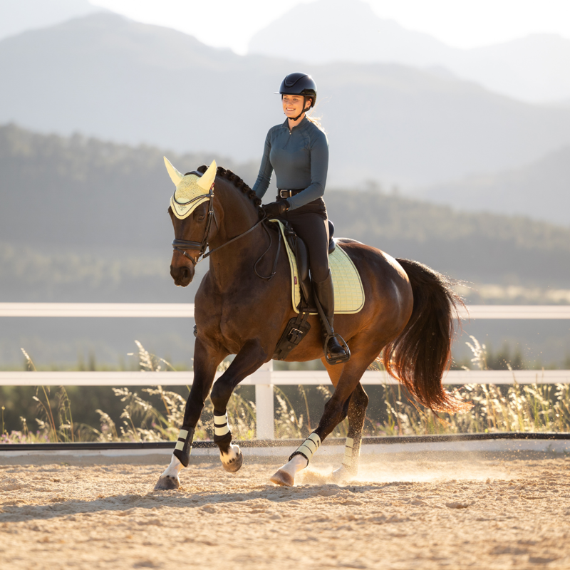 LeMieux Suede Dressage Square - Macaron-5