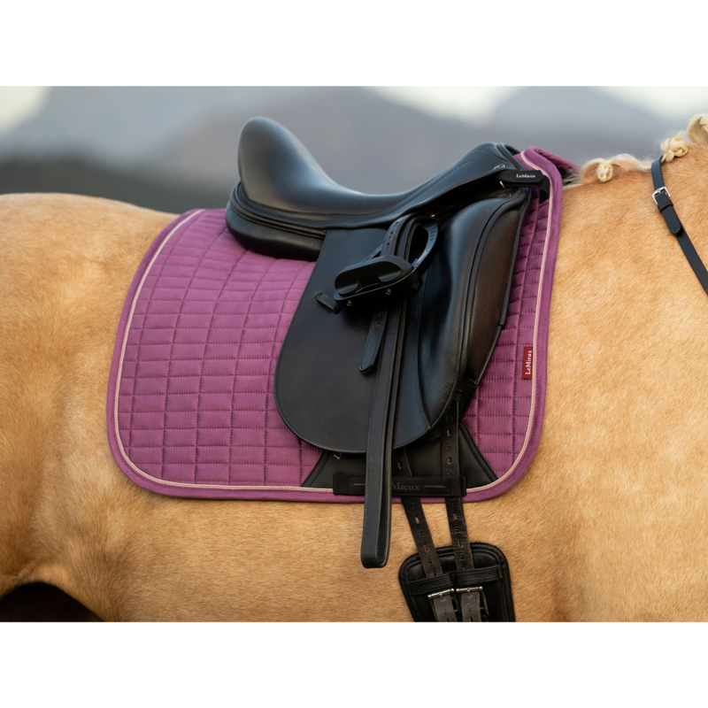 LeMieux Suede Dressage Square - Mallow-1