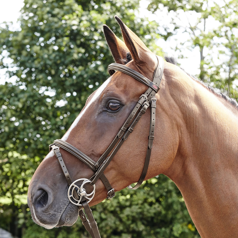 John Whitaker Barton Raised Flash Bridle - Havana - Pony