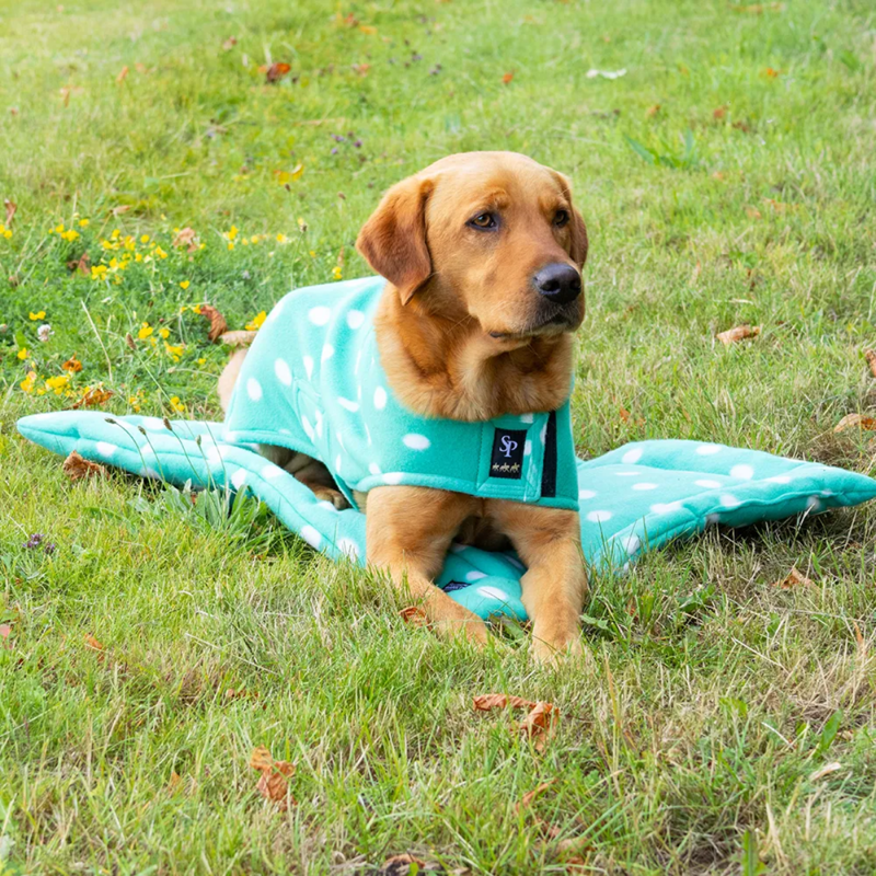 Supreme Products Dotty Fleece Dog Coat - Gorgeous Green-2