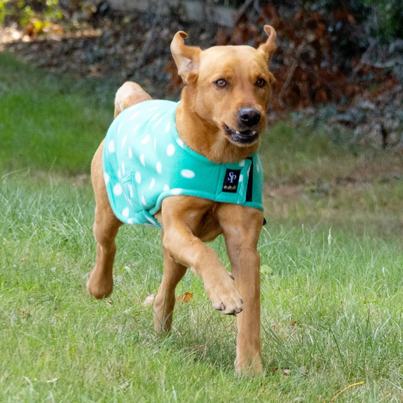 Supreme Products Dotty Fleece Dog Coat - Gorgeous Green-1