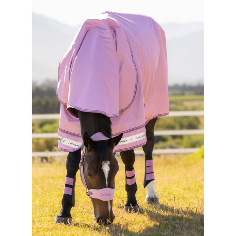 LeMieux Arika Ripstop 50g Turnout Rug - Fondant-8