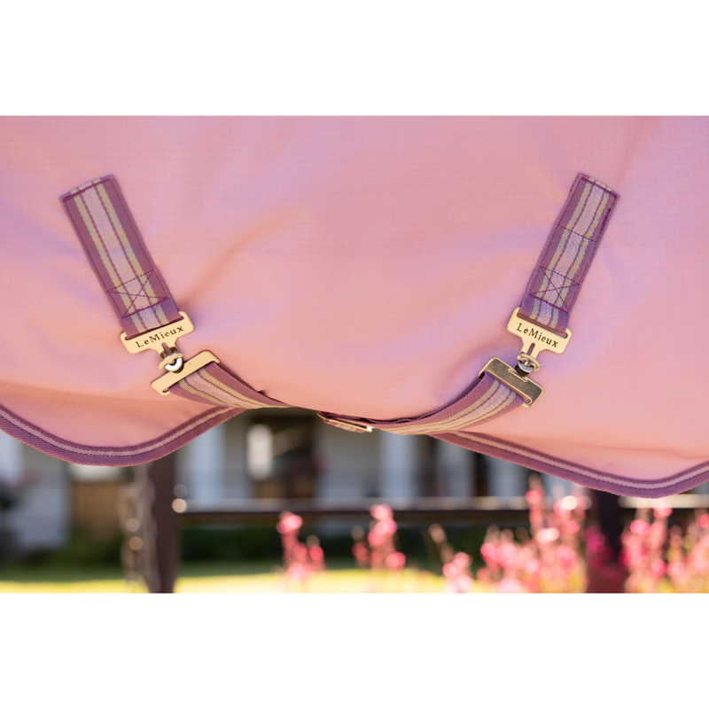 LeMieux Arika Ripstop 50g Turnout Rug - Fondant-3