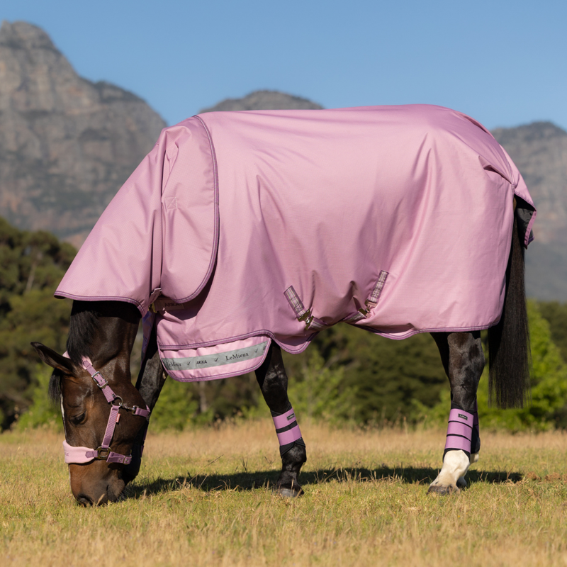 LeMieux Arika Ripstop 50g Turnout Rug - Fondant-1
