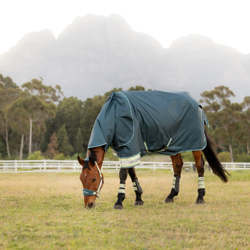LeMieux Arika Ripstop 0g Turnout Rug - Jungle-1