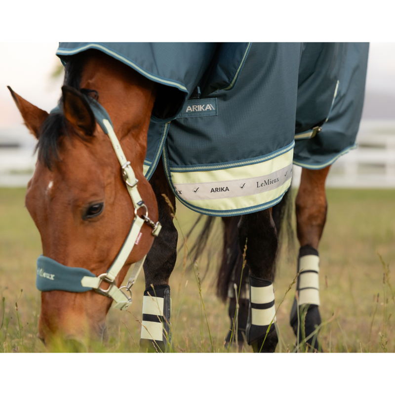 LeMieux Arika Ripstop 0g Turnout Rug - Jungle-2