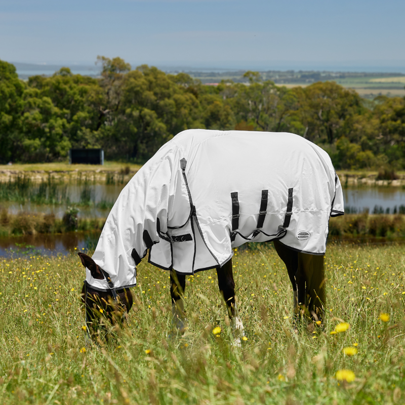 WeatherBeeta ComfiTec Sweet Itch Shield Combo Fly Sheet - White/Charcoal-2