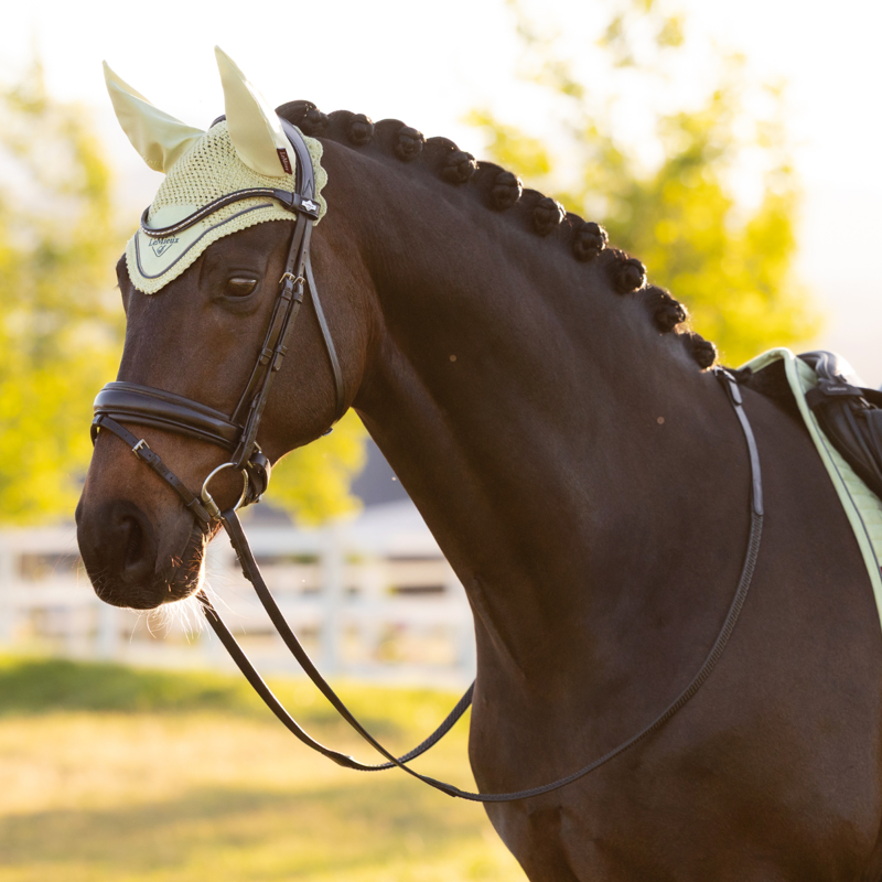 LeMieux Classic Fly Hood - Macaron-1