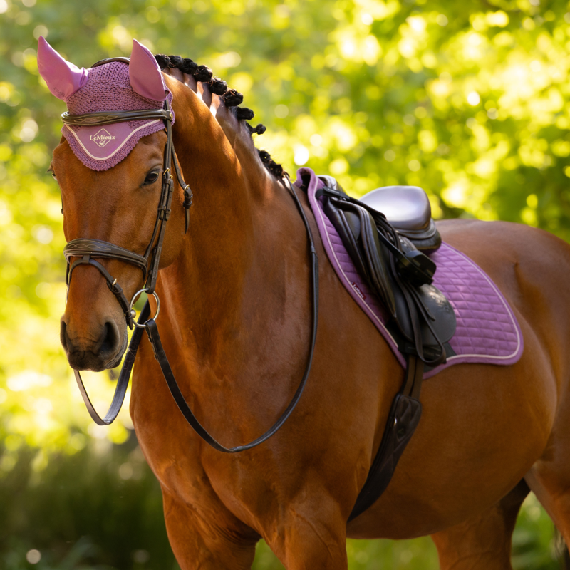 LeMieux Classic Fly Hood - Mallow-2