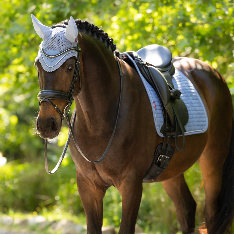 LeMieux Classic Fly Hood - Powder Blue-1