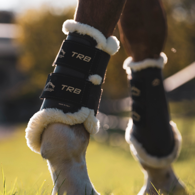 Veredus TRB Save The Sheep Front Brushing Boots - Black-5