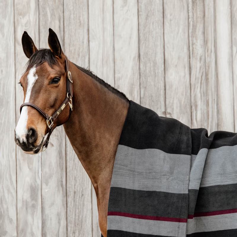Kentucky Fleece Square Blanket Stripes - Black-1