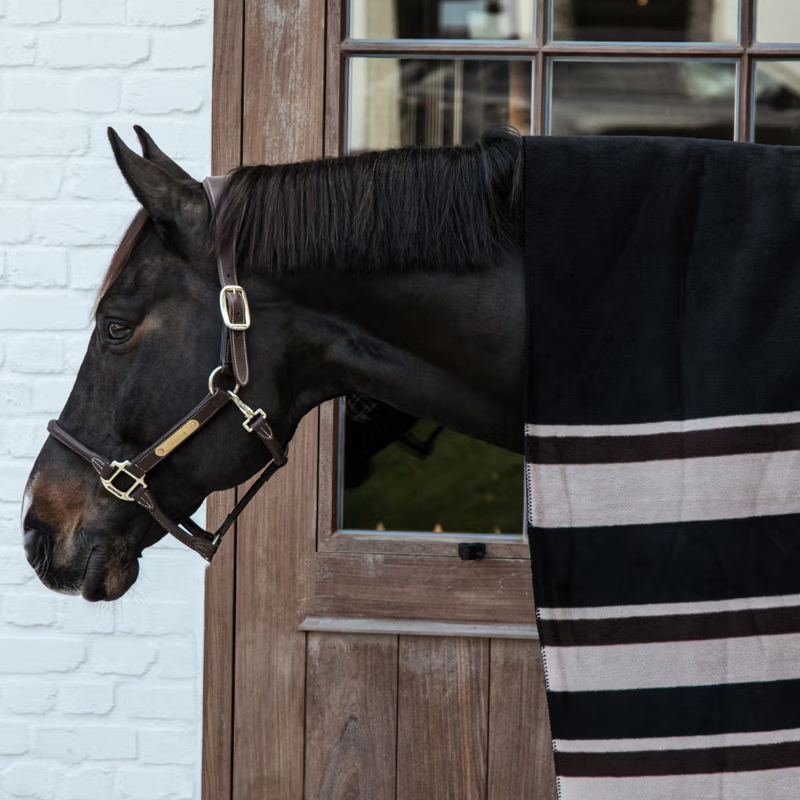Kentucky Fleece Square Blanket Stripes - Beige/Brown-1
