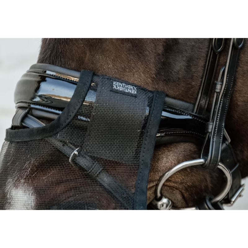 Kentucky Anti Fly Nose Net - Black-1