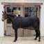 Kentucky Light Striped Mesh Fly Sheet - Black
