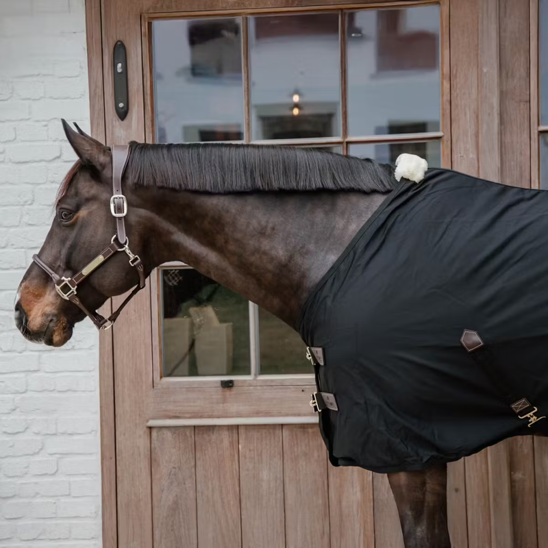 Kentucky Cotton Sheet - Black-1