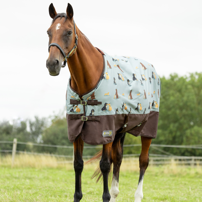 Hy StormX Original It's A Dog's Life 0 Turnout Rug - Dusty Blue-2