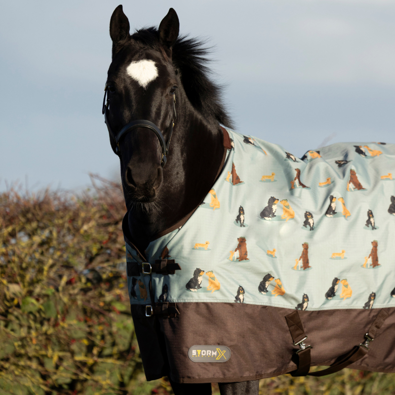 Hy StormX Original It's A Dog's Life 50 Turnout Rug - Dusty Blue-3