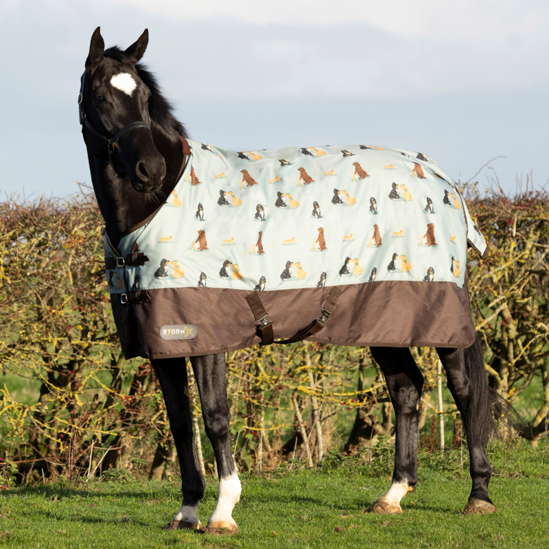 Hy StormX Original It's A Dog's Life 50 Turnout Rug - Dusty Blue
