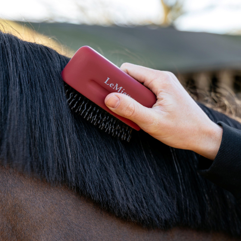 LeMieux Mane Tamer - Red-1