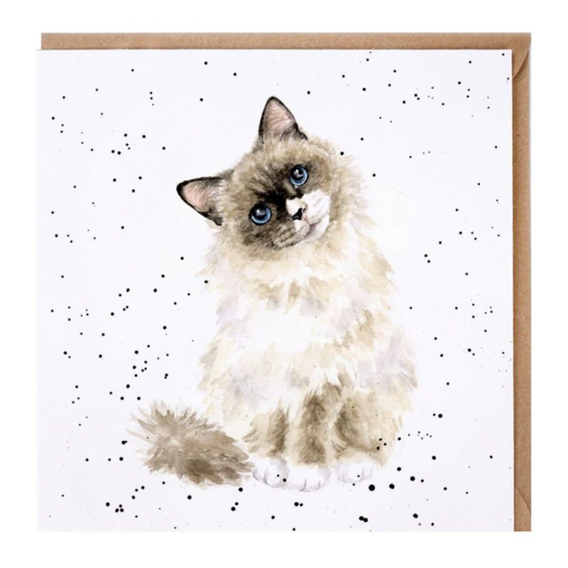 Wrendale Designs 'Paws for Thought' Cat Card