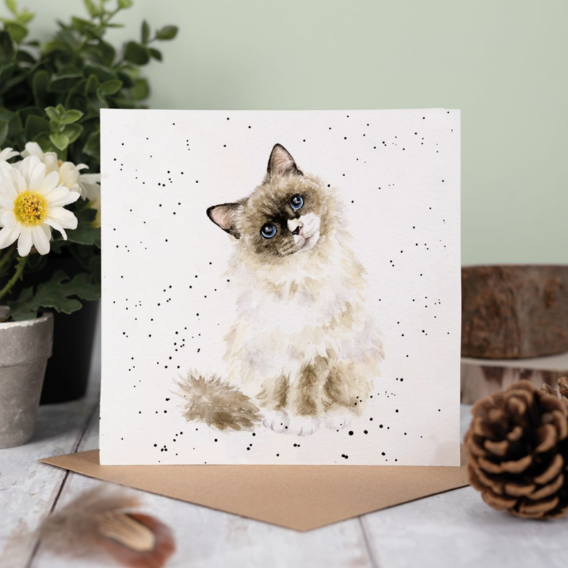 Wrendale Designs 'Paws for Thought' Cat Card-1