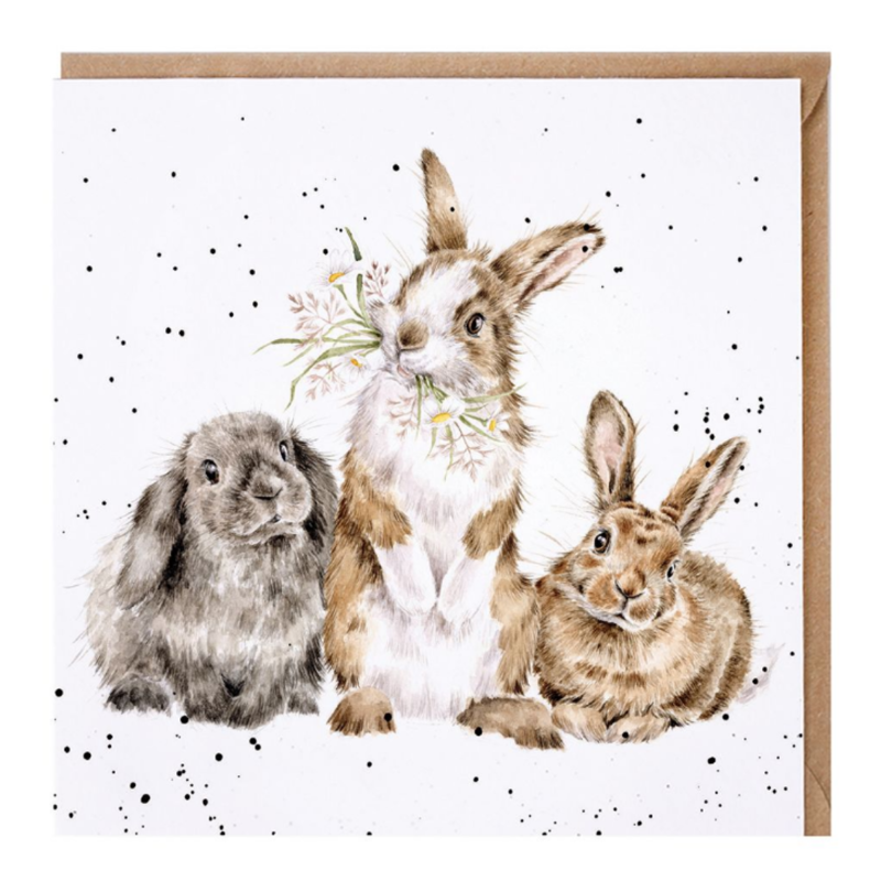 Wrendale Designs 'All Ears' Rabbit Card