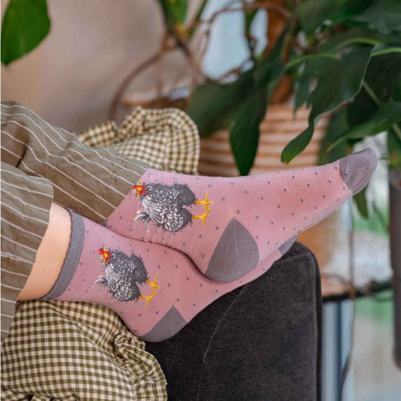 Wrendale Designs Ladies 'Curious Hen' Chicken Socks-2