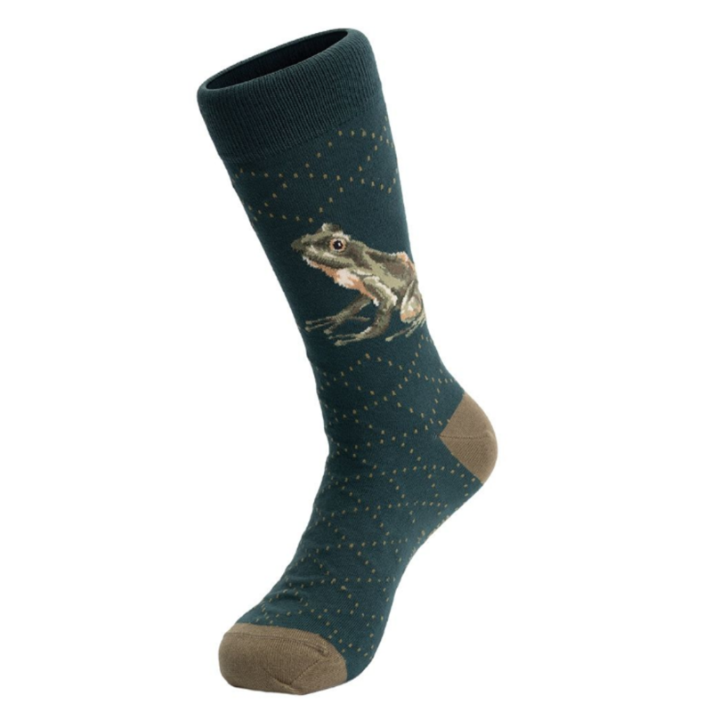 Wrendale Designs Calze Curious Hen, Calzini Donna Con Illustrazione Gallina, Morbidi E Regalo Perfetto, Taglia 36-40