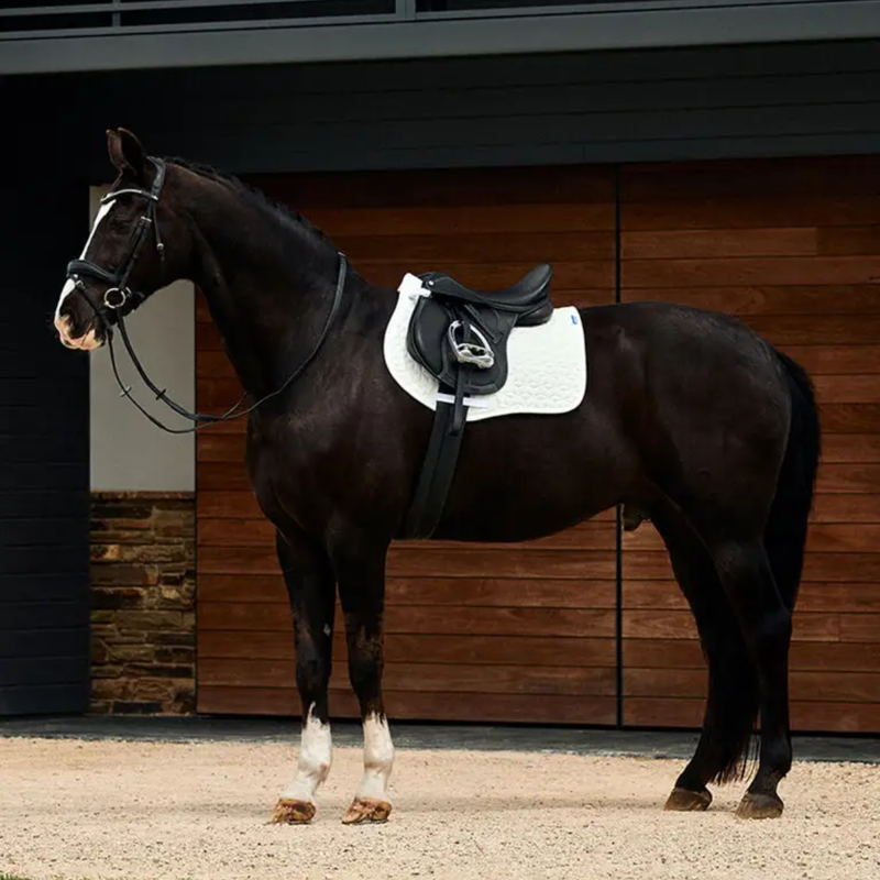 WeatherBeeta Suede Elite Air-Tec All Purpose Saddlepad - White-4