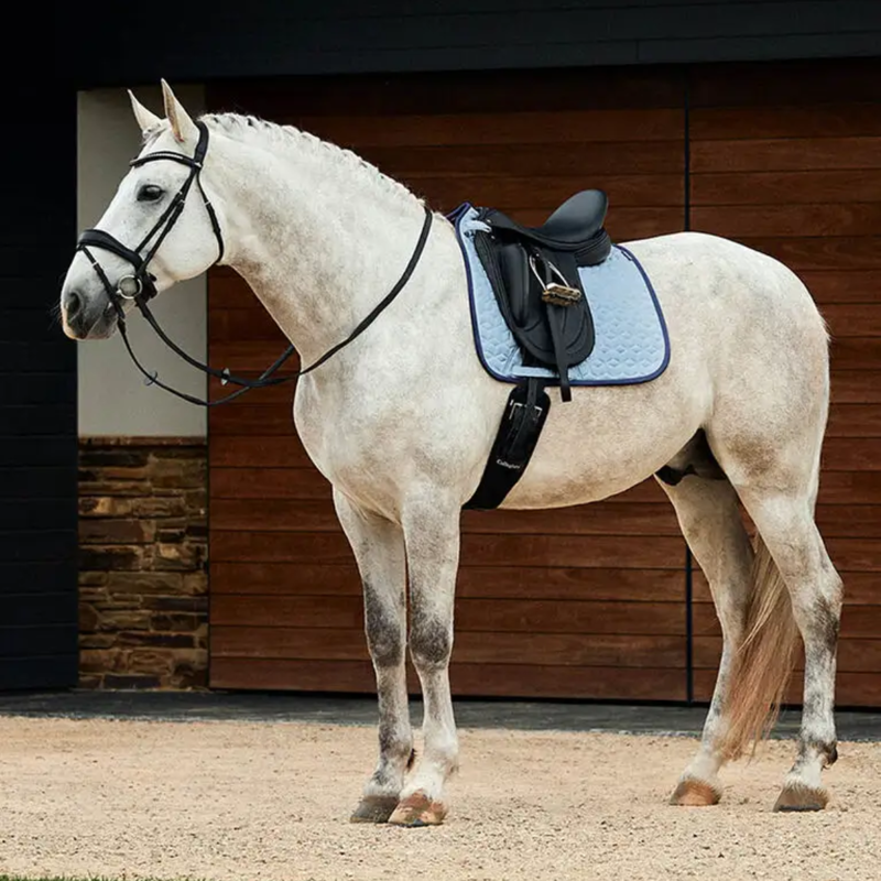WeatherBeeta Suede Elite Air-Tec Dressage Saddlepad - Aqua-4