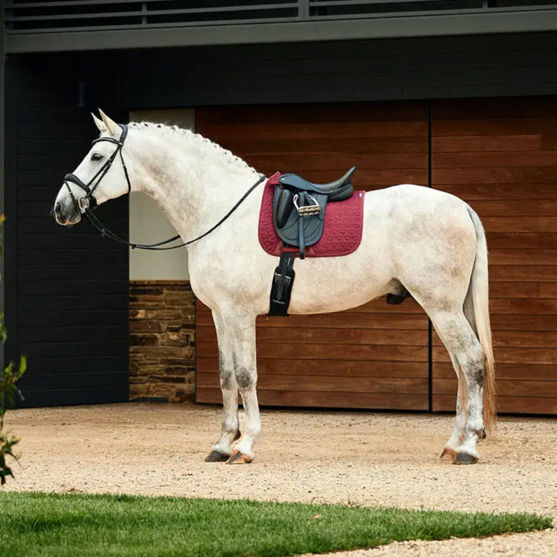 WeatherBeeta Suede Elite Air-Tec Dressage Saddlepad - Burgundy-4