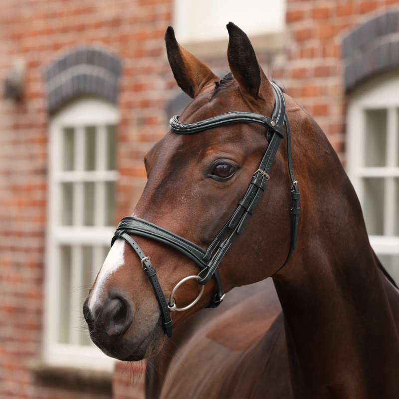 Shires Velociti LUSSO Opus 180M Padded Flash Bridle - Black