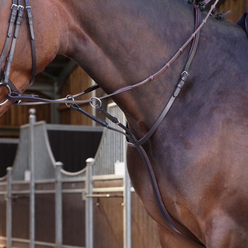 Shires Velociti LUSSO Elite Running Martingale - Havana