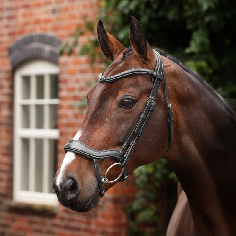 Shires Velociti LUSSO Opus 180M Ergonomic Flash Bridle - Black