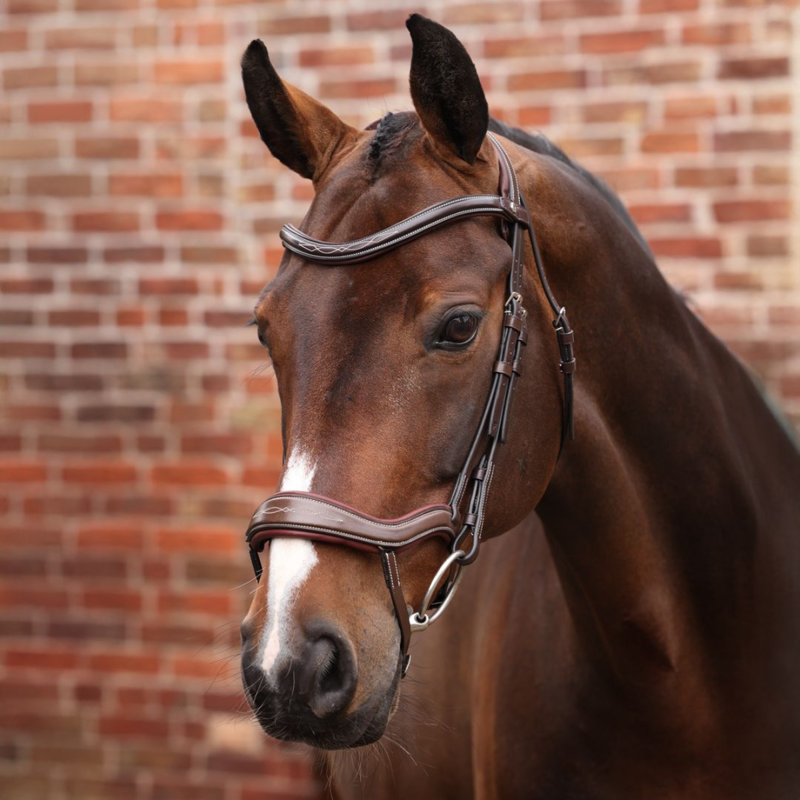 Shires Velociti LUSSO Opus 180M Ergonomic Flash Bridle - Havana-1