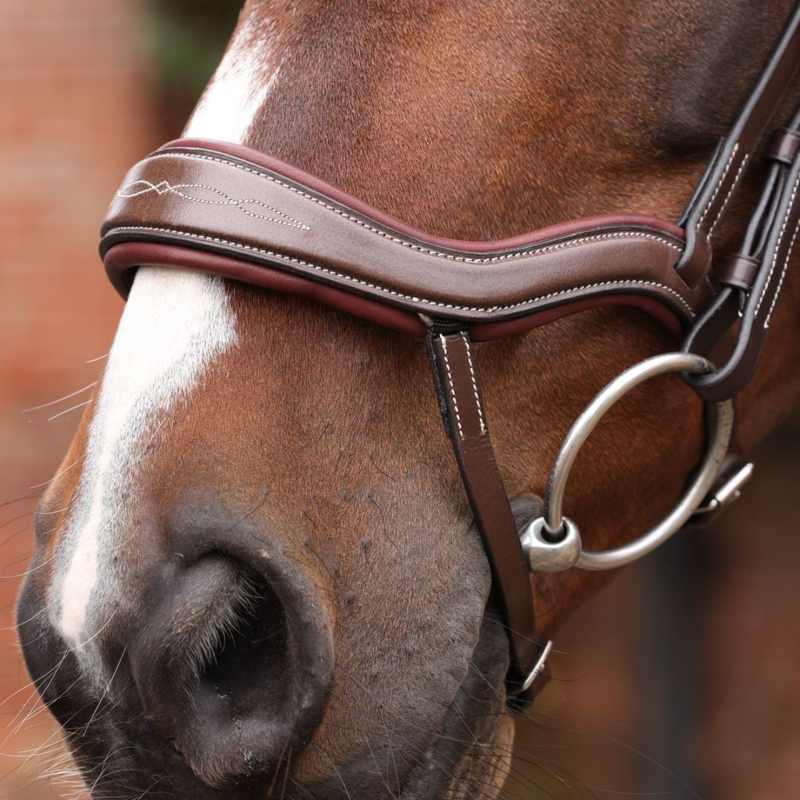 Shires Velociti LUSSO Opus 180M Ergonomic Flash Bridle - Havana-3