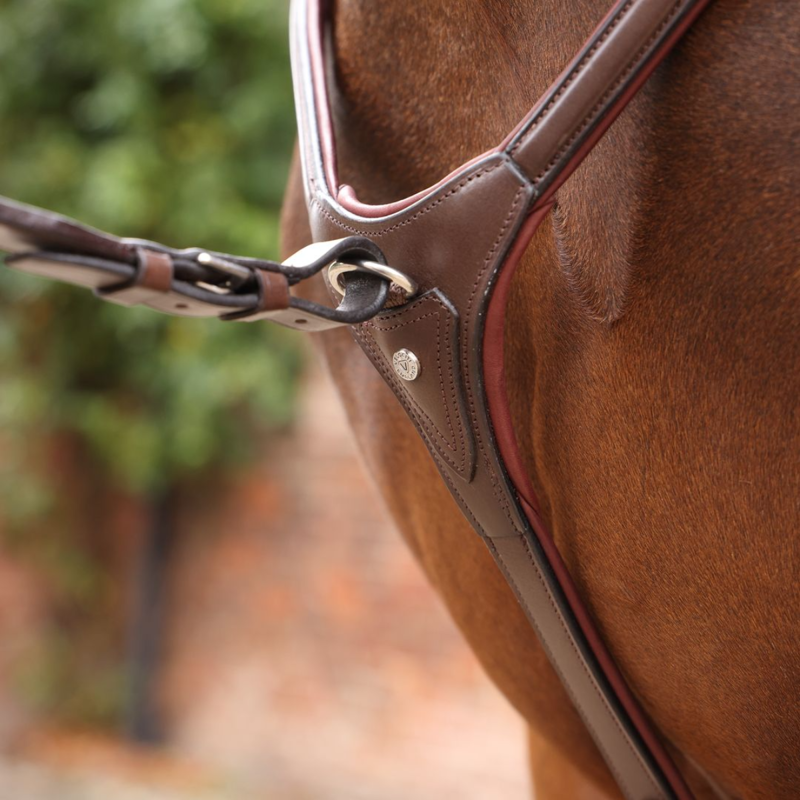 Shires Velociti LUSSO Opus Close Contact Breastplate - Havana-2