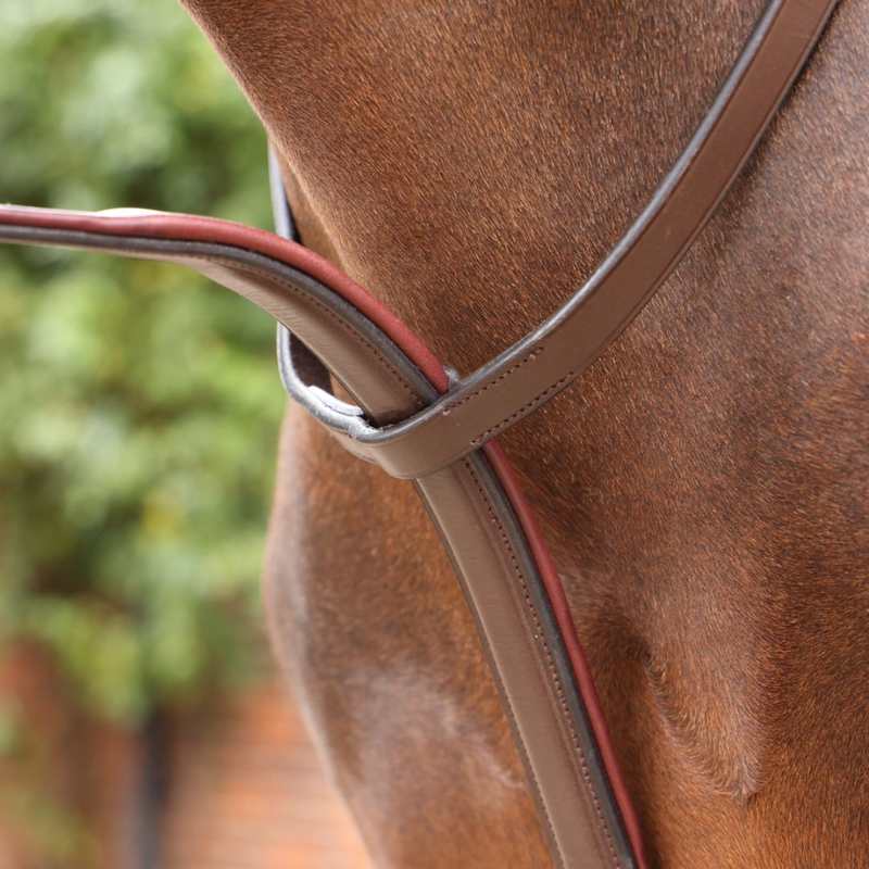 Shires Velociti LUSSO Opus Close Contact Breastplate - Havana-4