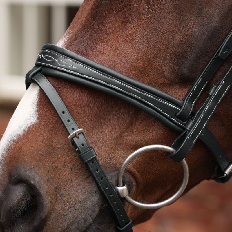 Shires Velociti LUSSO Opus 180M Padded Flash Bridle - Black-2
