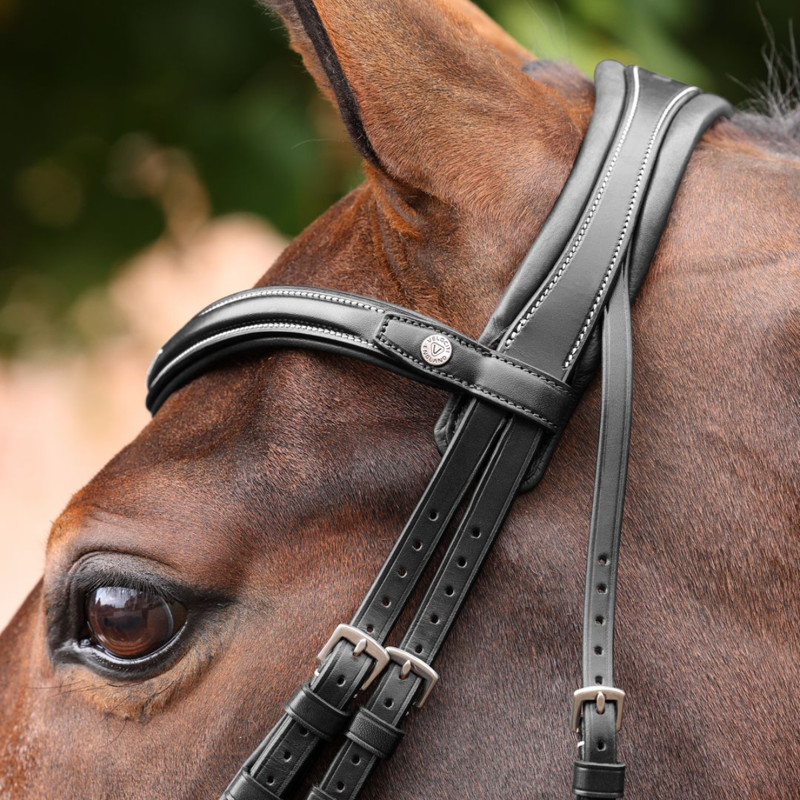 Shires Velociti LUSSO Opus 180M Padded Flash Bridle - Black-1