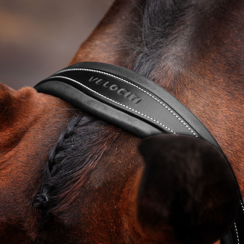 Shires Velociti LUSSO Opus 180M Padded Flash Bridle - Black-3