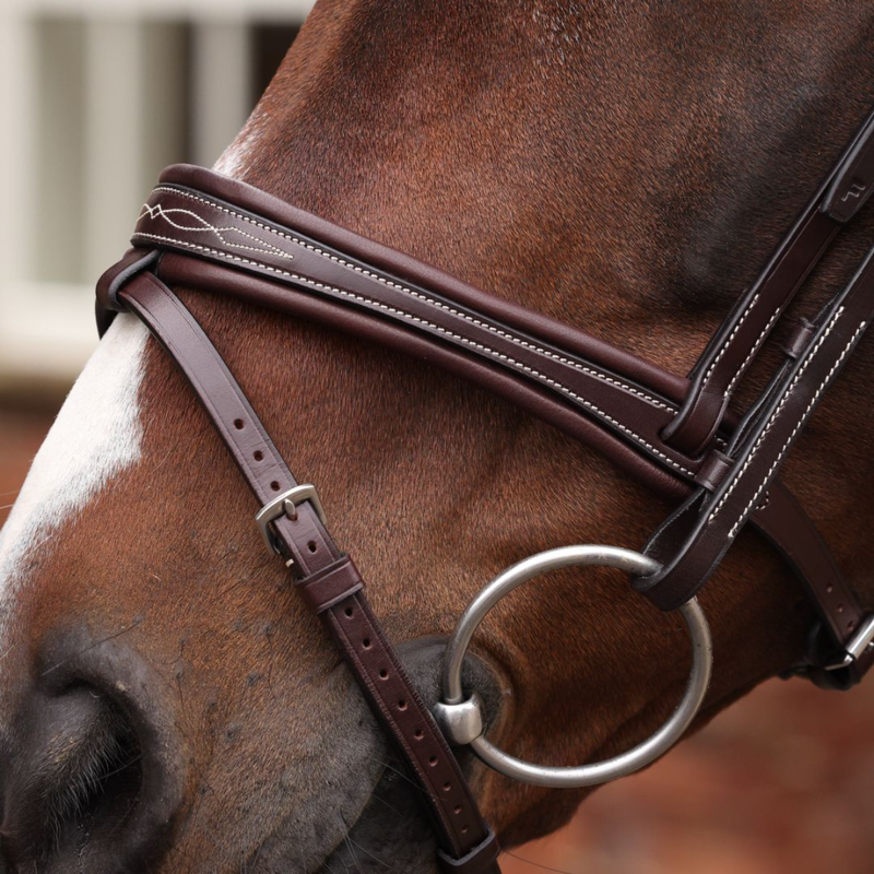 Shires Velociti LUSSO Opus 180M Padded Flash Bridle - Havana-2
