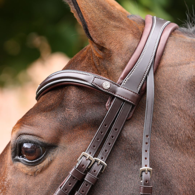 Shires Velociti LUSSO Opus 180M Padded Flash Bridle - Havana-1