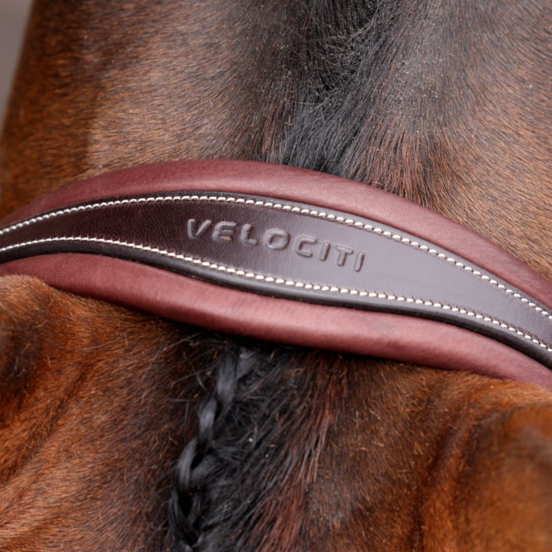 Shires Velociti LUSSO Opus 180M Padded Flash Bridle - Havana-3