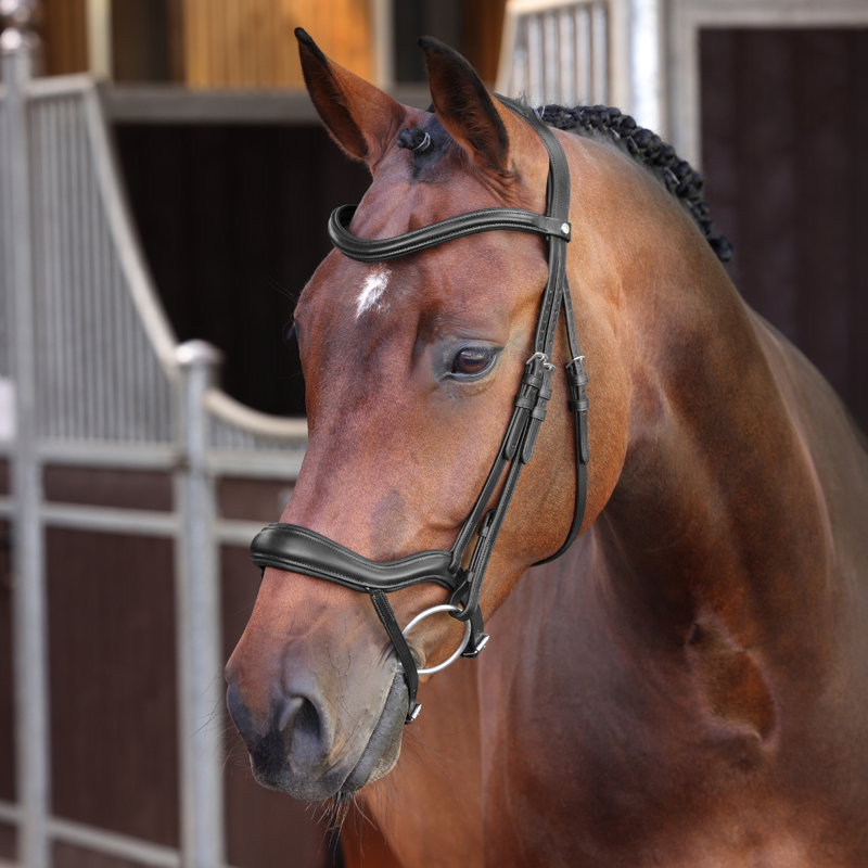 Shires Velociti LUSSO Elite Ergonomic Flash Bridle - Black