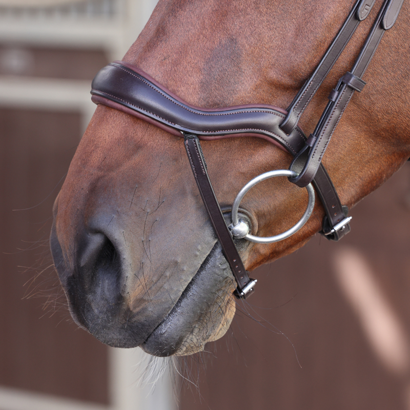 Shires Velociti LUSSO Elite Ergonomic Flash Bridle - Havana-4