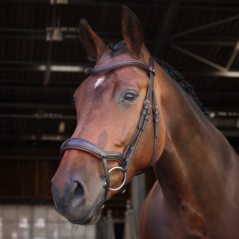 Shires Velociti LUSSO Elite Ergonomic Flash Bridle - Havana-2