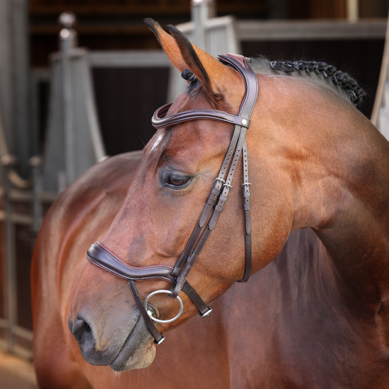 Shires Velociti LUSSO Elite Ergonomic Flash Bridle - Havana-1
